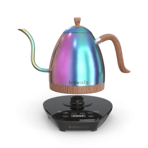 Brewista Artisan Electric Gooseneck Kettle