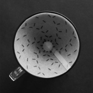 SIBARIST - FAST GRAYCANO SPECIALTY COFFEE FILTERS (100 Units)
