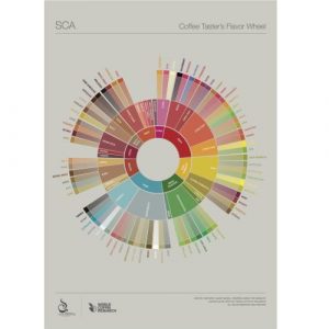 Lexicon Flavour Wheel - SCA